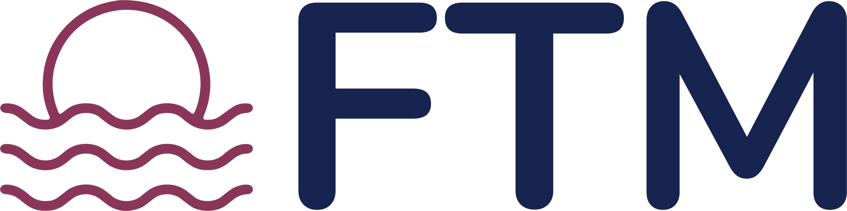Francis Travel Marketing